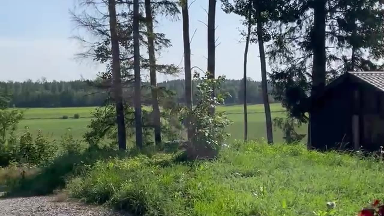 The Most Amazing Place