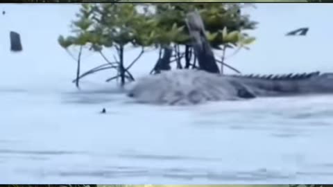 😱👻 The Poltergeist Activity That's Baffling Experts! | TheHauntingHour