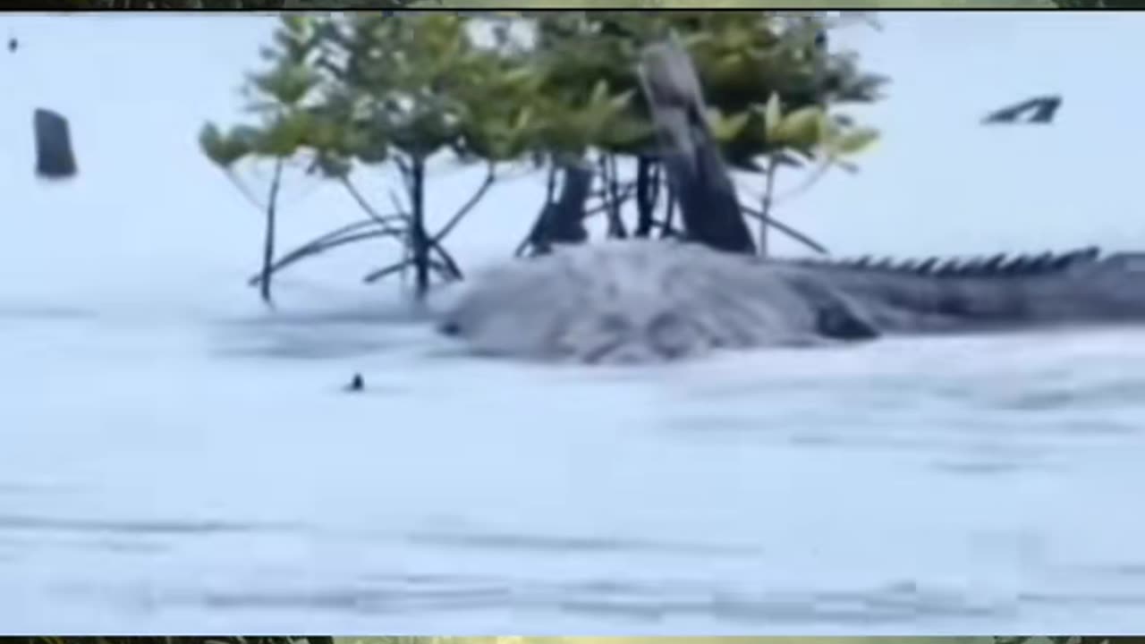 😱👻 The Poltergeist Activity That's Baffling Experts! | TheHauntingHour