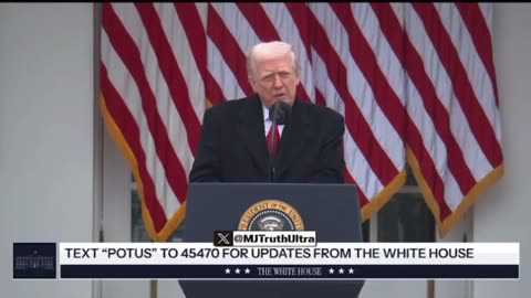 A beautiful women was just BURNED ALIVE in Chicago by a man that has been arrested 72 Times