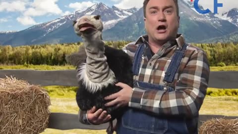 22 Minutes Made Fun of Ostrich Farm