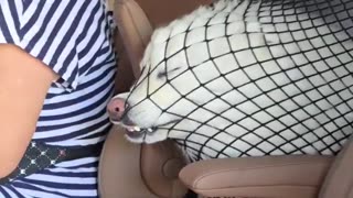 😱🌊 Grandma's Beach Trip Takes a Shocking Turn! | FunFM