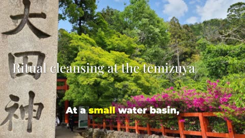 Kamigamo Shrine Forest Path: Spiritual Kyoto Escape #travel #explore #history #kamigamoshrine