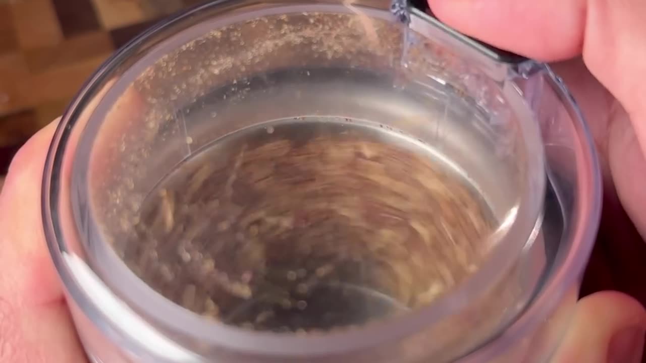 Hey Canada 🇨🇦🇨🇦🇨🇦🇨🇦🇨🇦🇨🇦 New Recipe 🦆😍😍