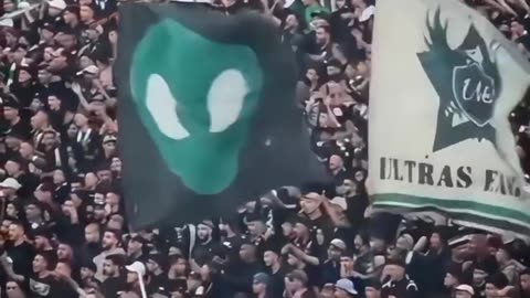 💥 "You’ve Never Seen Fans Like This Before – Raja Ultras! 😱💚"