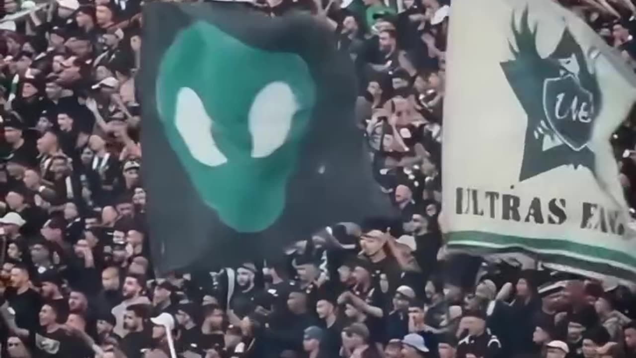 💥 "You’ve Never Seen Fans Like This Before – Raja Ultras! 😱💚"