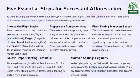 How to Plan Village-Level Afforestation Using Native Trees in Tamil Nadu
