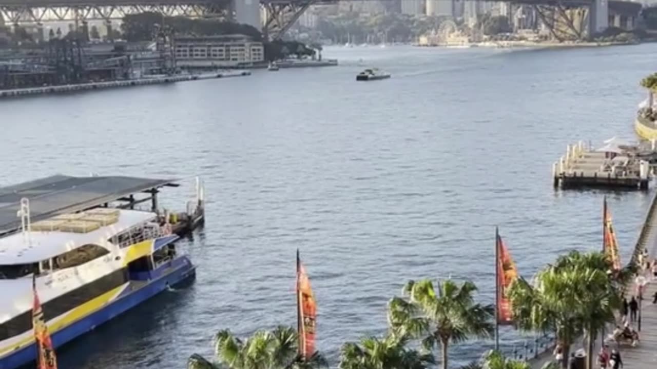 😊 232 TODO LO QUE NECESITAS PARA MANIFESTAR… 😊