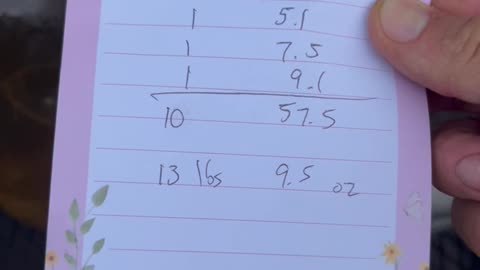 How much do nine Domingo Tomatoes weigh? Over 13 pounds!