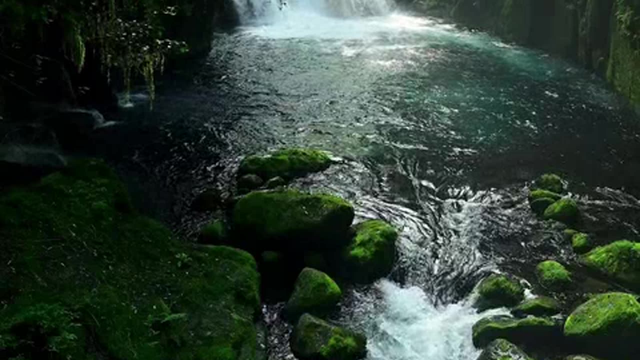 ganhando dinheiro na internet sites ptc.mp4