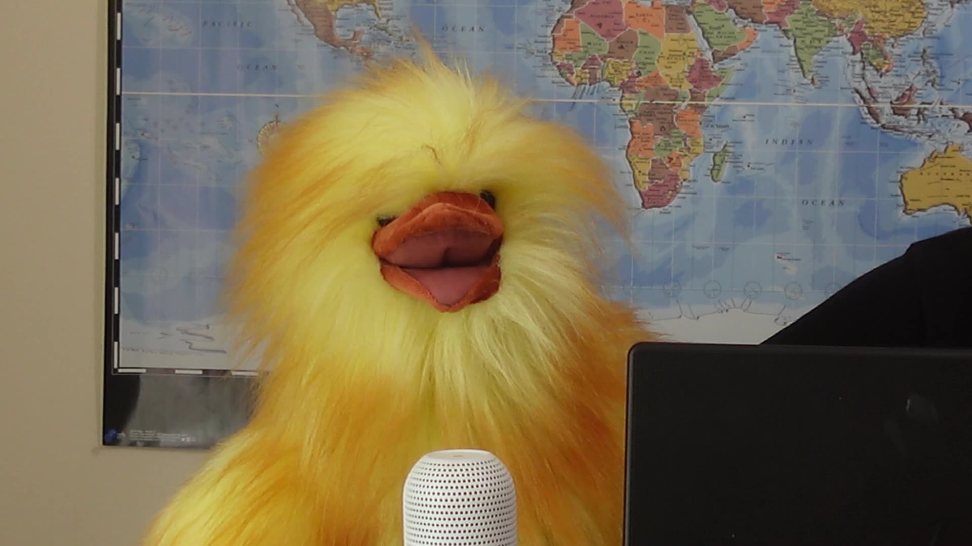 Henrietta Asks Why This G7 Dont Equate #7