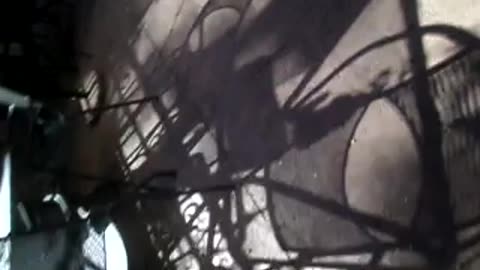 Noisy waterfall, and FLOWERS!!!