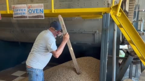 Café secado con cuidado en guardiola