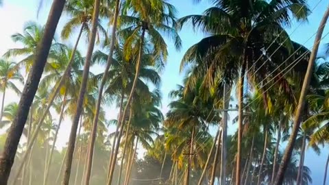 Beautiful Village Relax View
