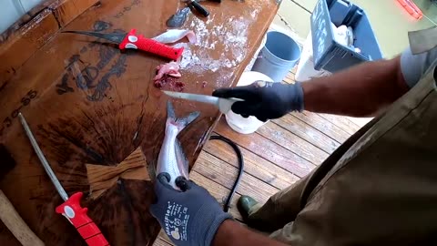 5 days fishing and camping in swamp - catch and cook frogs,Gab,crabs,Catfish and Buffalo