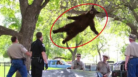 🐾😂 “Animals Acting Like Movie Stars – Their Reactions Are Priceless!”