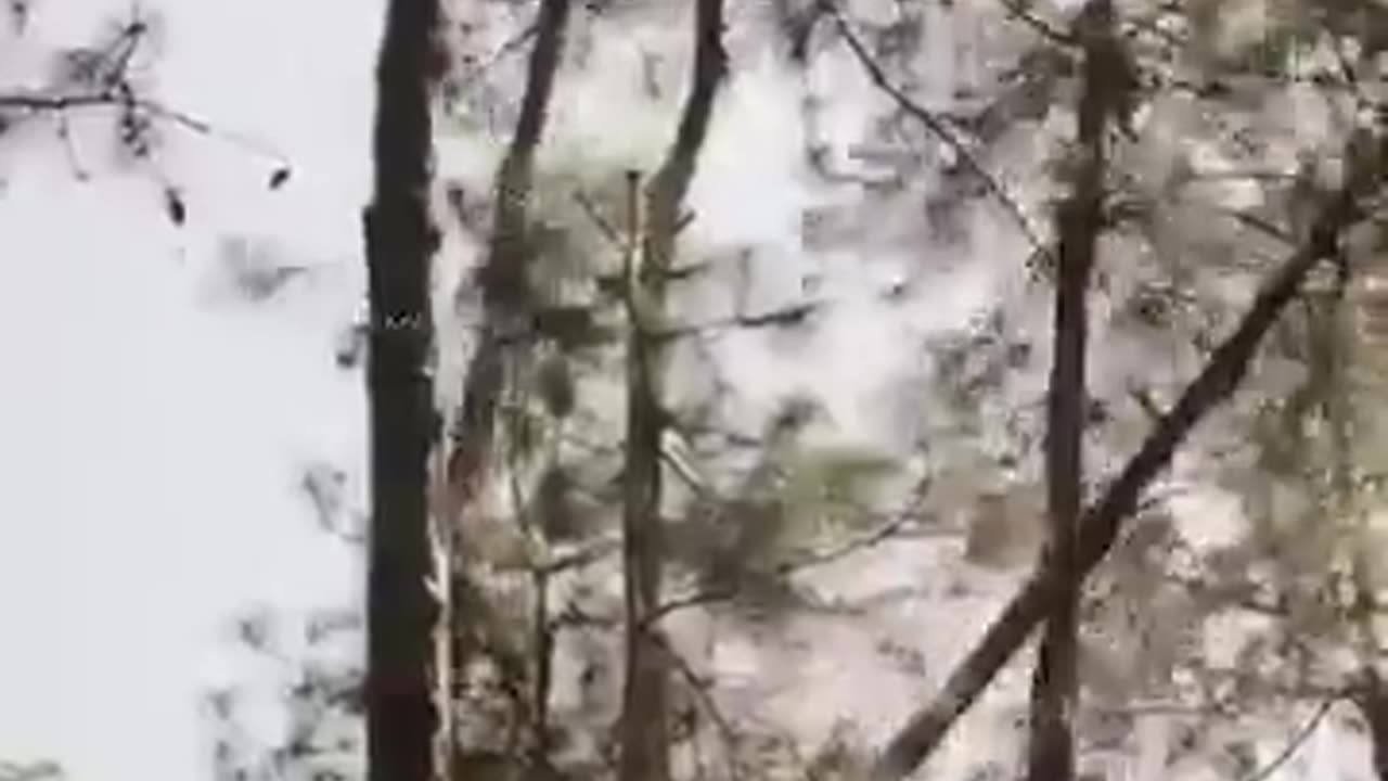 Vampire Movie Clip