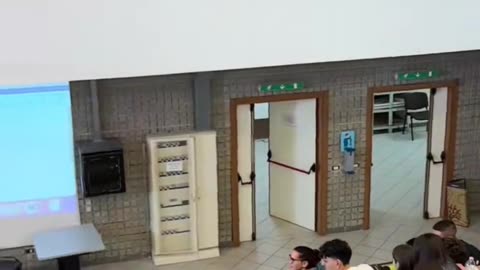 😂🐱 Professor Cat. Be quiet! | FunFM