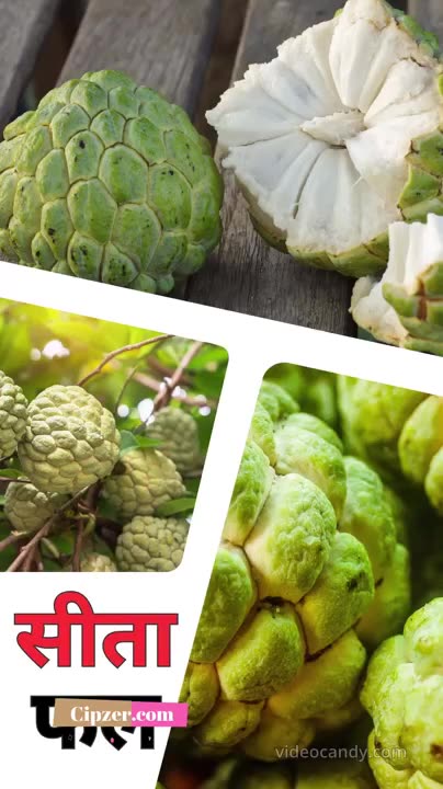 Sharifa Khane Ke Fayde