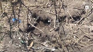 📡🛸 Ukraine Russia War | Pentagon Unit FPV Drones Hit Russian Infantry in Kursk-Sumy | RCF