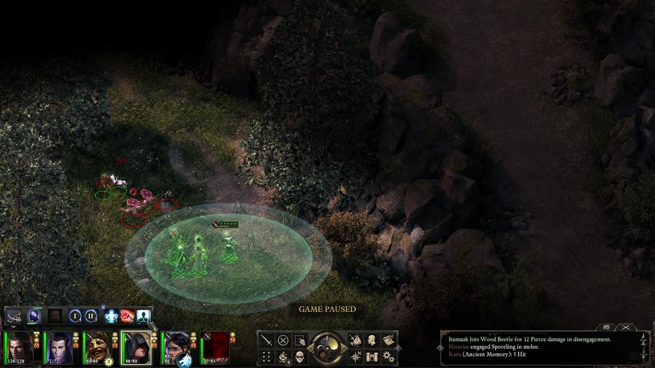 Looking for Ruins| Pillars of Eternity | pt 9