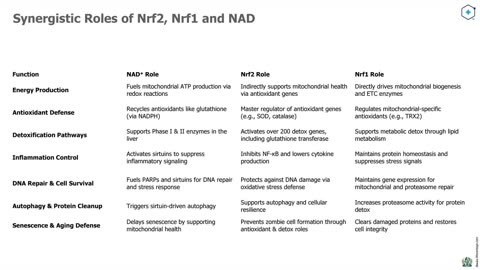Coffee with MarkZ. 10/20/2025