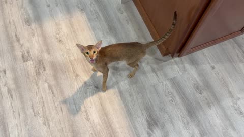 Do you like peace and quiet?