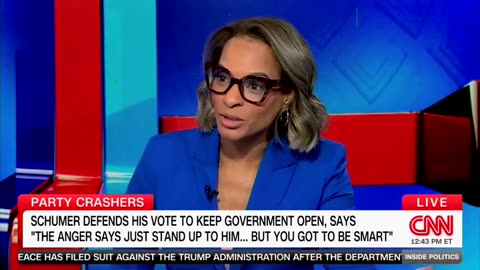 CNN Panelist So Demoralized By Trump She Doesn't Even Care If Dems Win House In 2026