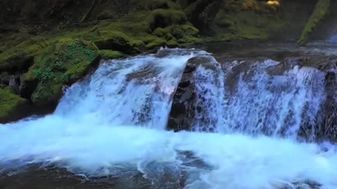 Beautiful World - Beautiful places in the World #shorts #shortsvideo #NaturalVideos #naturelover