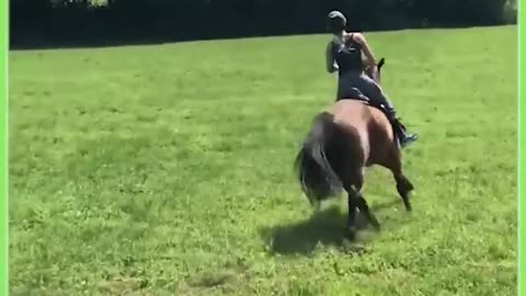 Top 31 Hilarious Animal Moments To Make You Laugh!