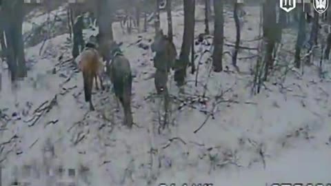 The "Sore" Horseman(Haha)