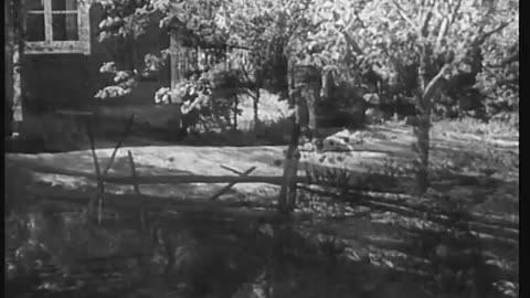 Åsa-Nisse på jaktstigen 1950