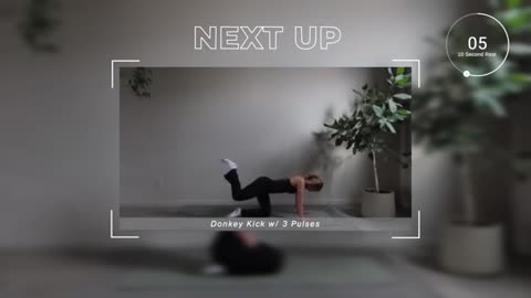 back workout