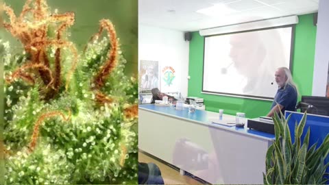 Wat zijn fyto-cannabinoïden?