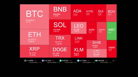Live Coin Price Watch!