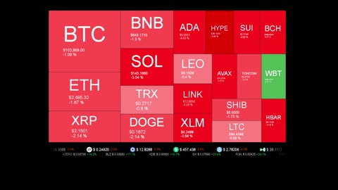 Live Coin Price Watch!