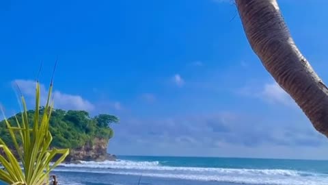 Beachside Bliss: Dining Under the Sky and a Cooling Breeze"
