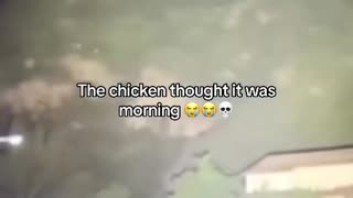 😂😭 "Oh shi- I overslept 🐓" | FunFM