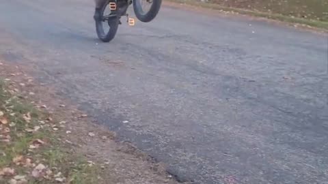 PHATMOTO ALL-TERRAIN WHEELIE