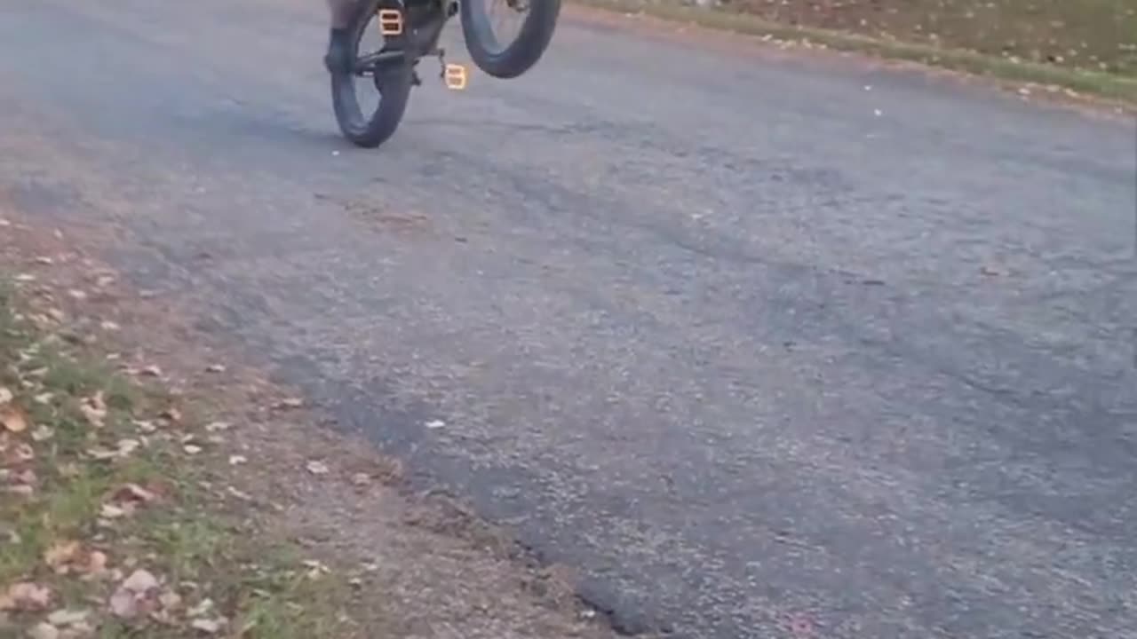 PHATMOTO ALL-TERRAIN WHEELIE