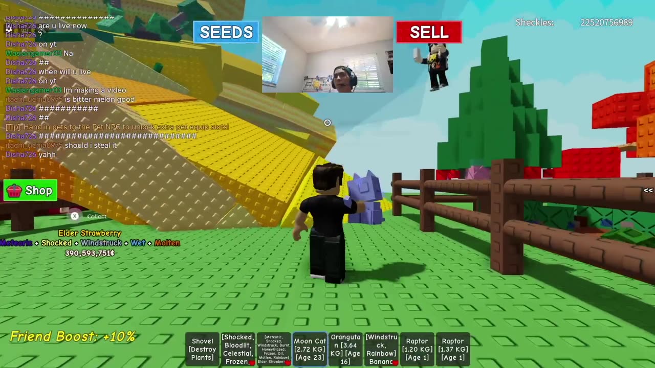 Playing Grow a Garden! Roblox
