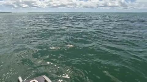 A Bad Day Fishing is Better Than a Good Day at Work_part8