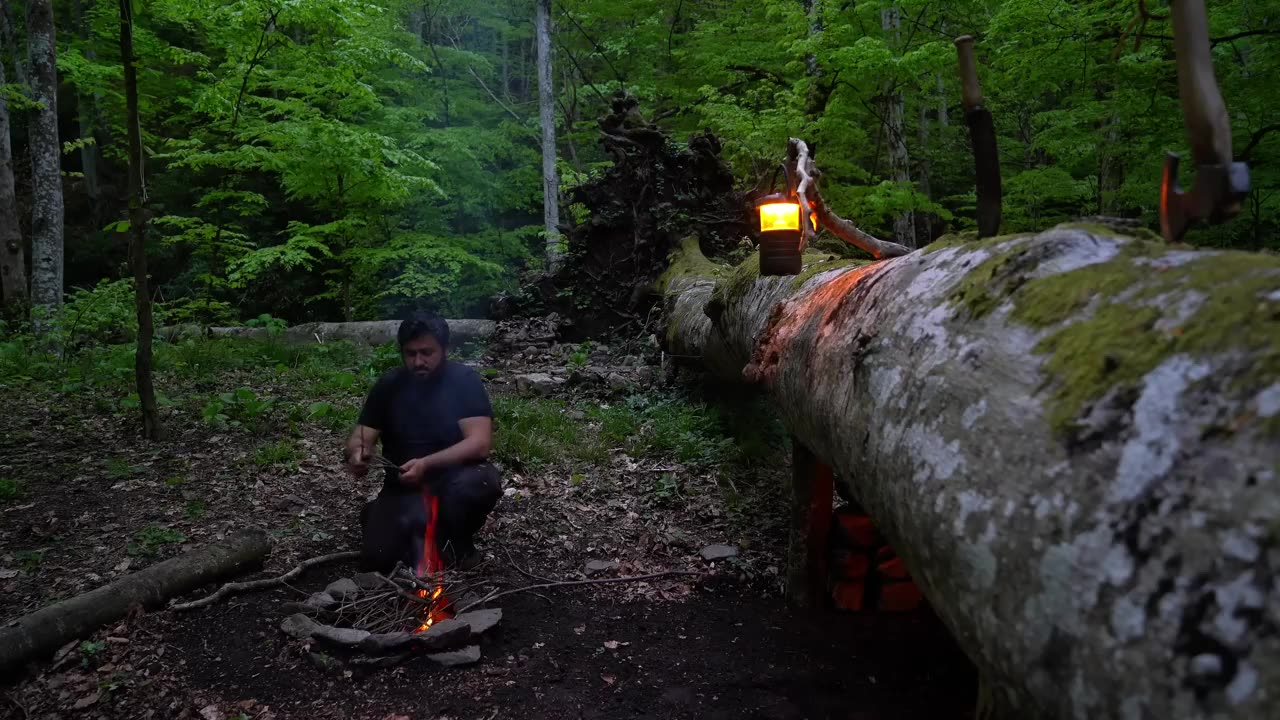 Bushcraft ; Building a Secret Survival Dugout Under a Fallen Tree