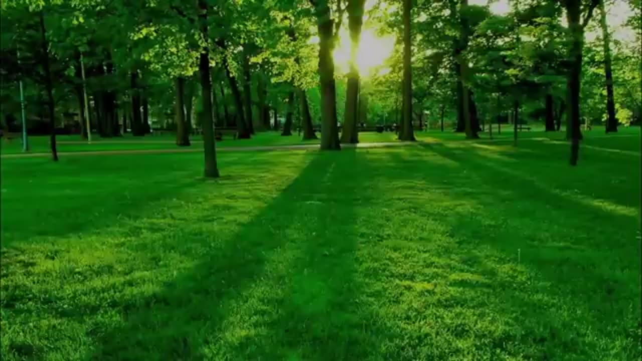 Ethiopian christian song classical