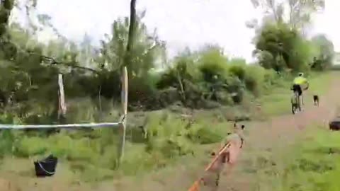 Bikejoring is a fun activity where one dog or a team of dogs runs in front of a bike, pulling it.