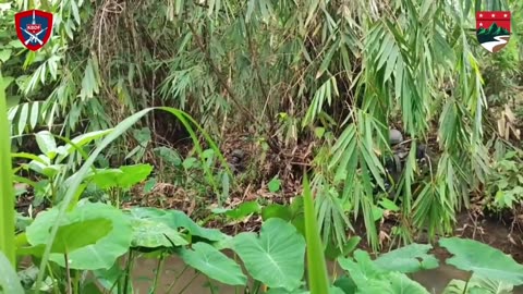 ⚔ Myanmar War | Kanbauk Defense Force Clashes with Junta in Yephyu Township | RCF