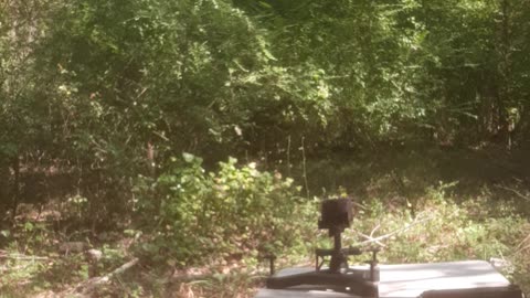 FRT in a 9mm SBR
