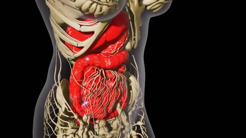 6 Critical Colon Cancer Symptoms You Should NEVER Ignore