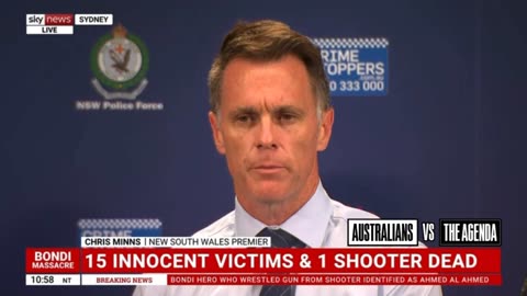 NSW Premier Chris Minns says his government is reviewing firearms laws