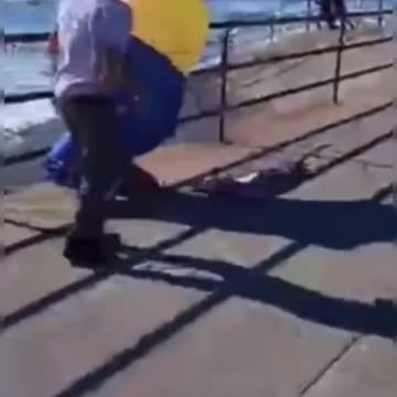 Massachusetts Man Arrested For Attacking Man Wearing Trump Costume!!!